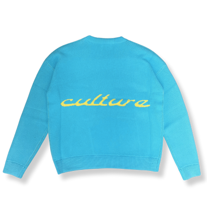 Adult Blue Knit